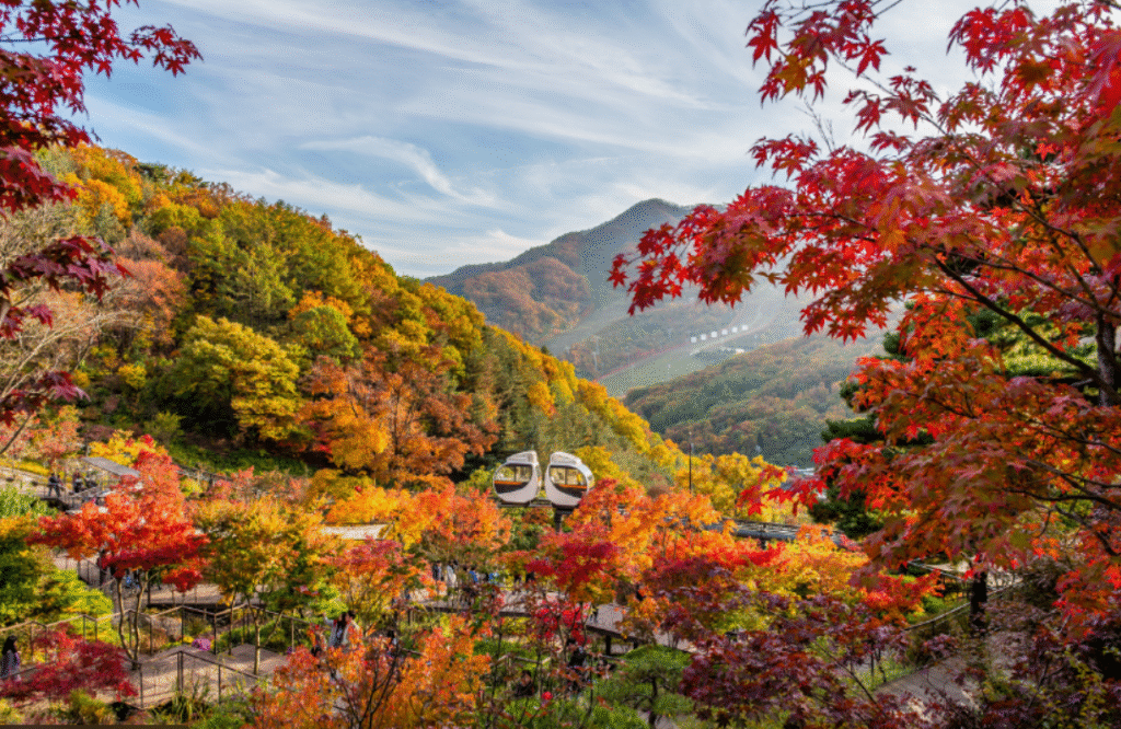 화담숲 취소표, 가을 화담숲 1일 코스 | 모노레일·포토스팟·예매·교통 완벽 가이드 1 화담숲 단풍