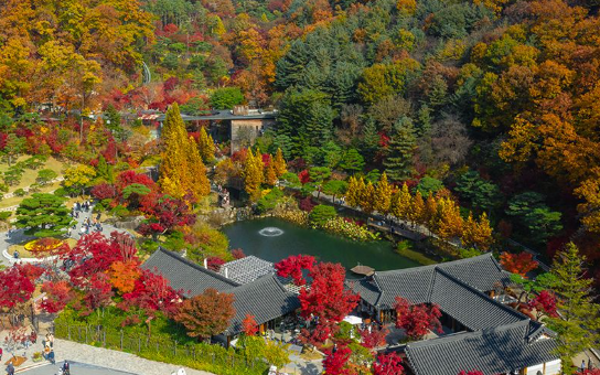 화담숲 취소표, 가을 화담숲 1일 코스 | 모노레일·포토스팟·예매·교통 완벽 가이드 3 화담숲 전경