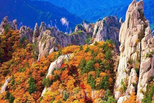 설악산 단풍 여행 가이드 (Seoraksan Fall Foliage Tour) 1 설악산 단풍 여행 가이드