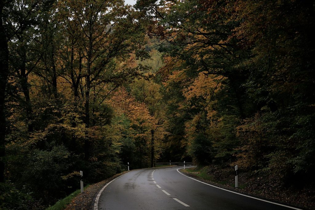 img1 autumn road