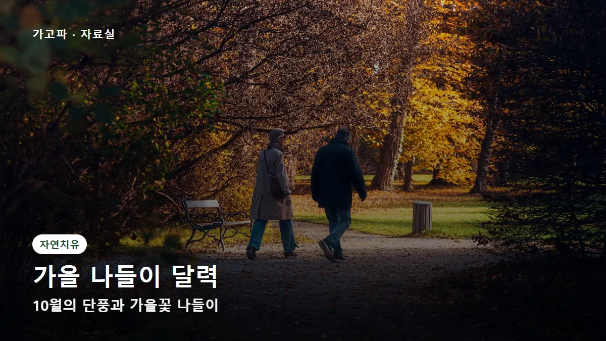 가을 나들이 달력 — 10월의 단풍과 가을꽃 나들이