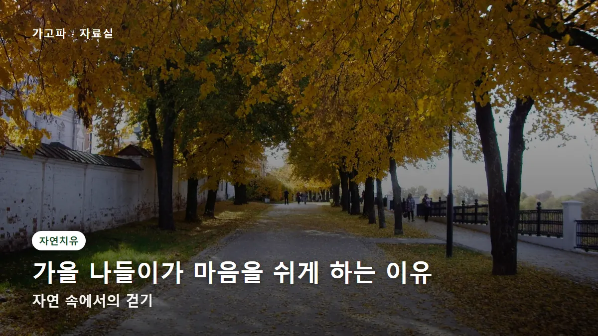 가을 나들이가 마음을 쉬게 하는 이유 — 자연 속에서의 걷기
