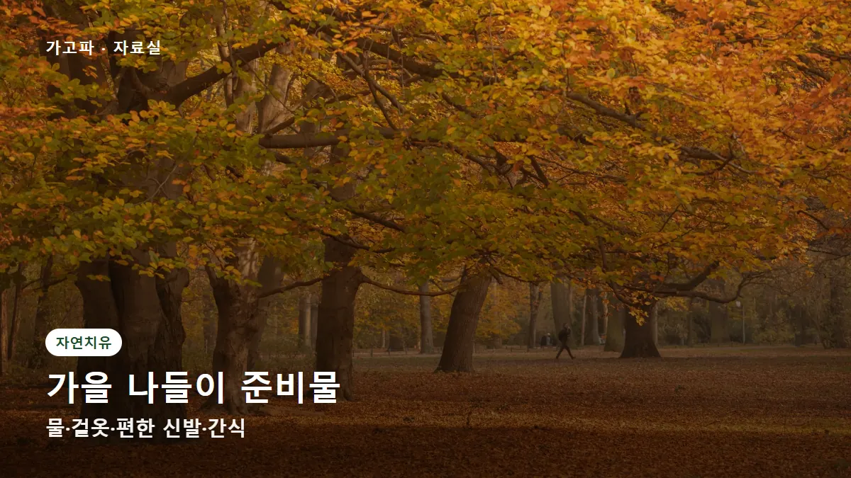 가을 나들이 준비물 — 물·겉옷·편한 신발·간식