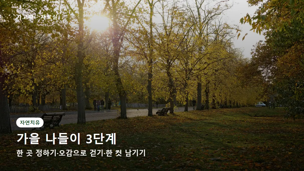 가을 나들이 3단계 — 한 곳 정하기·오감으로 걷기·한 컷 남기기