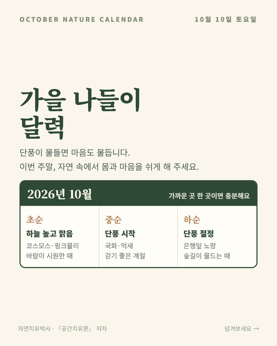 가을 나들이 달력 — 10월의 단풍과 가을꽃 나들이 카드뉴스 표지