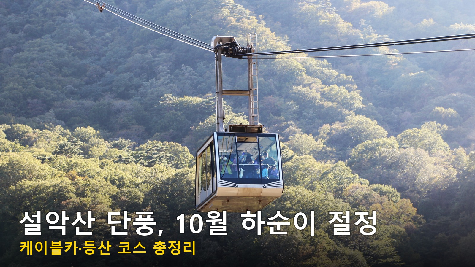 설악산 단풍 케이블카 대표 이미지