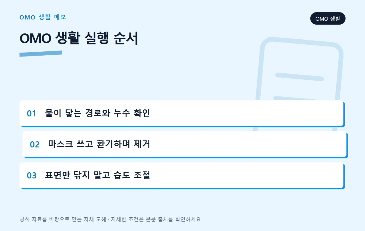 곰팡이를 발견했을 때 처리 순서