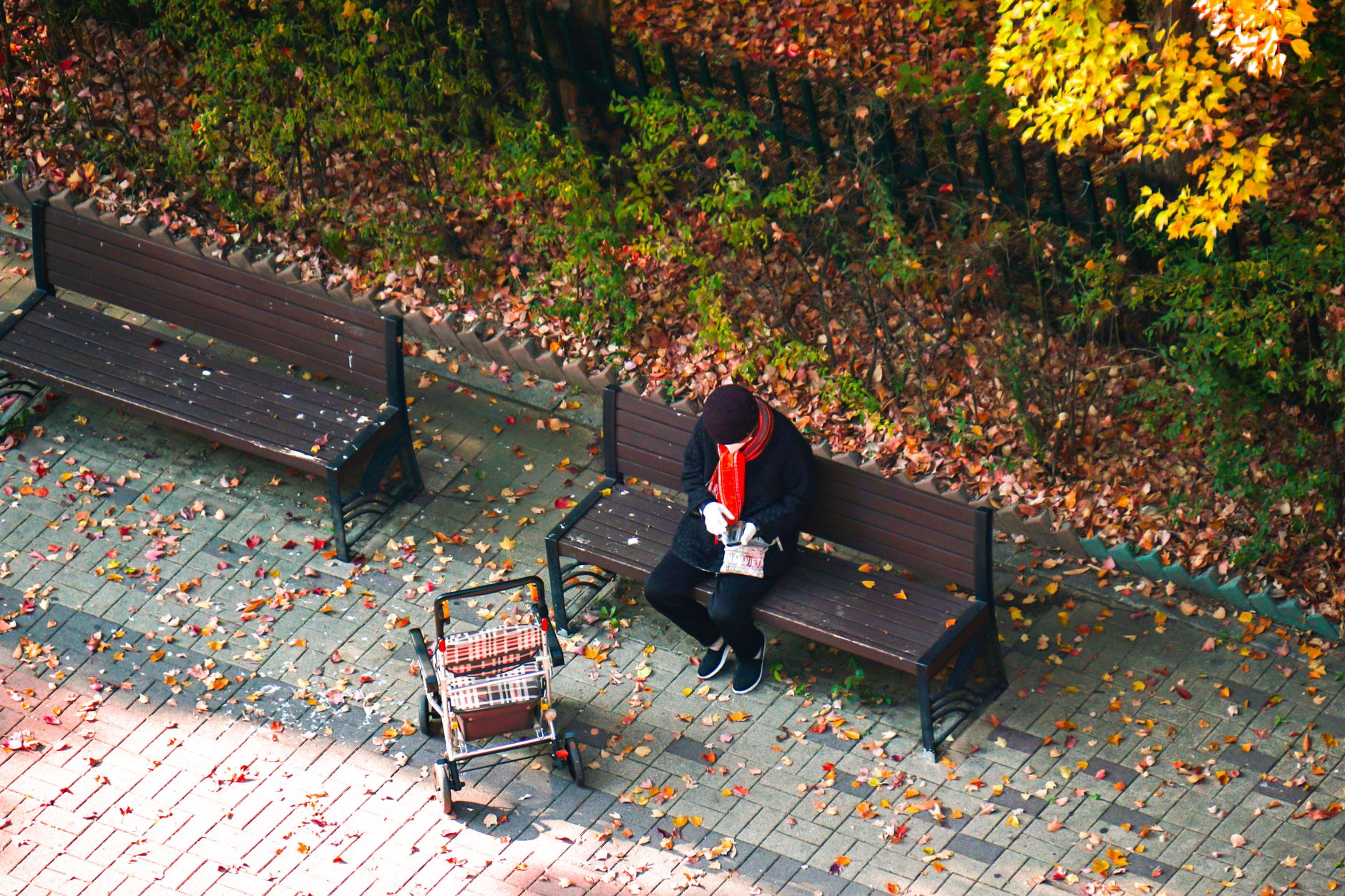 Person sitting on a bench in an autumn park with fallen leaves, wearing warm clo