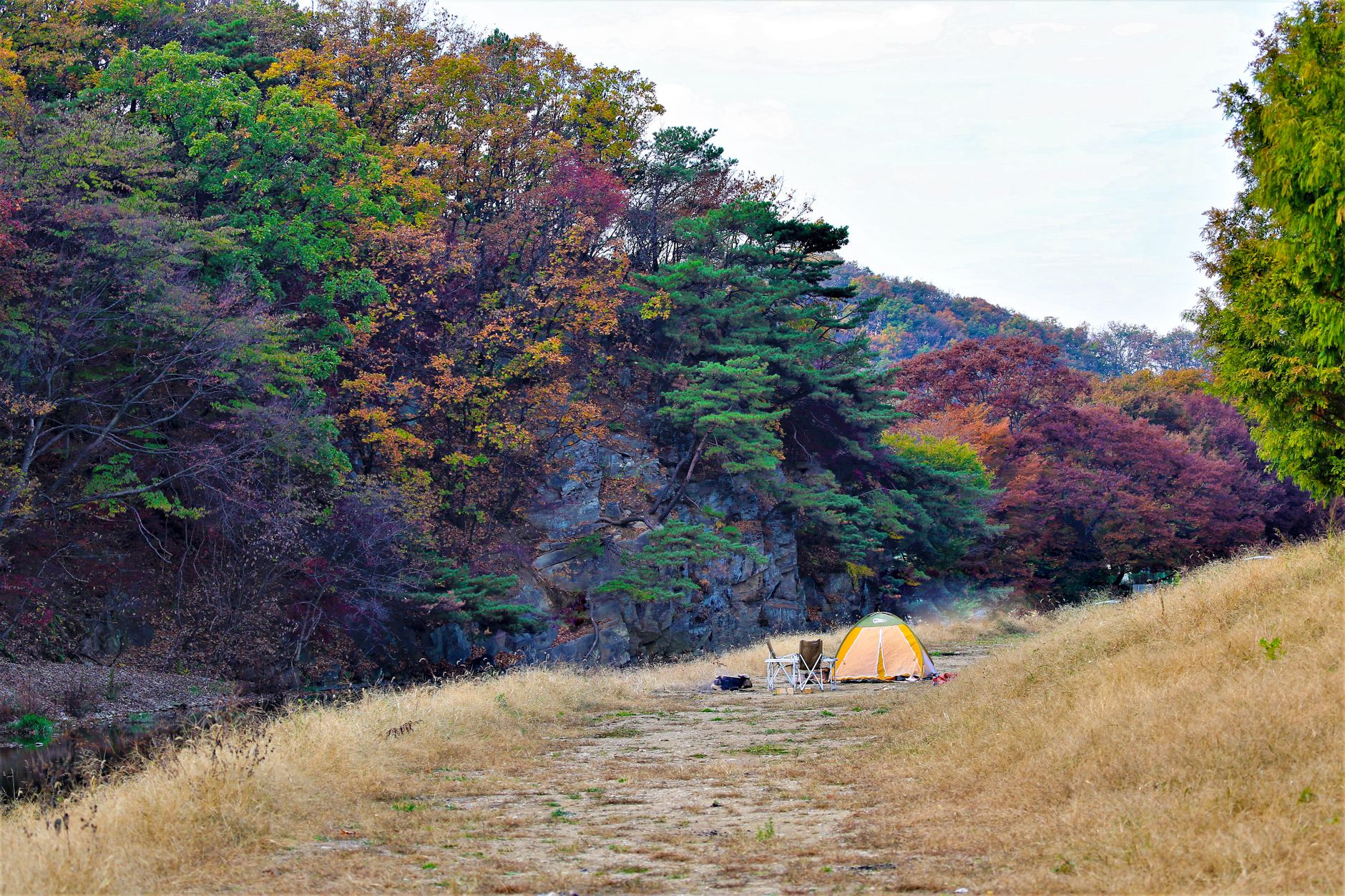 2026 가을 캠핑 초보 가이드, 준비물 체크리스트와 수도권 캠핑장 3곳 2 Charming autumn campsite with tent amidst colorful forest foliage.