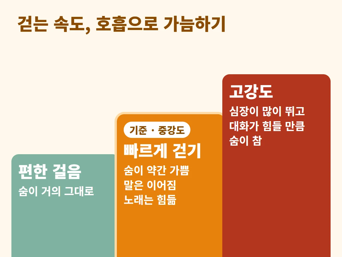 걷는 속도를 호흡으로 구분한 편한 걸음, 중강도, 고강도 세 단계